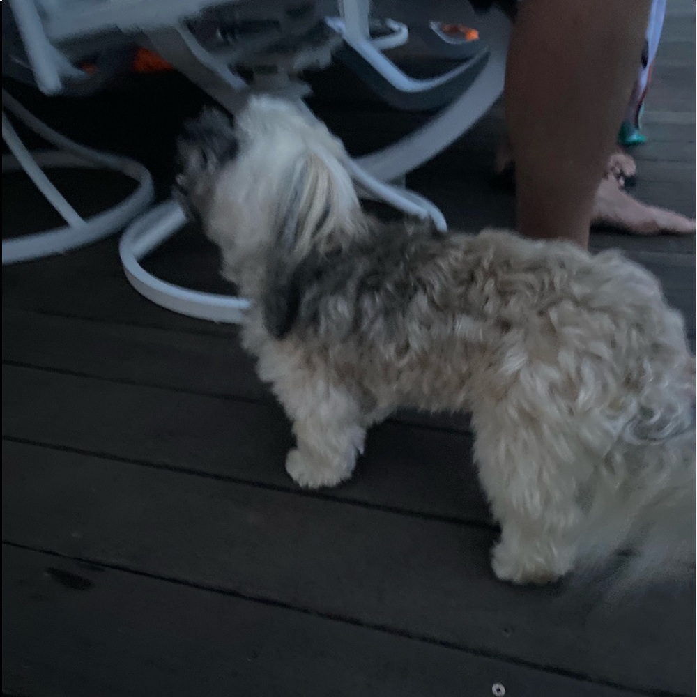 Meet your Posher, Jt